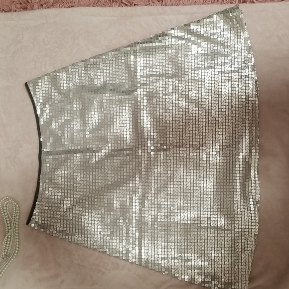 Kaj Ani Gray Silver Sequined Skirt - Picture 5 of 12